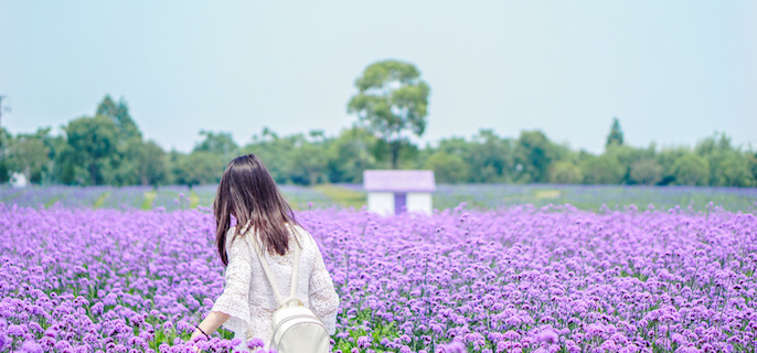 1768212242296185.jpg 614-2.jpg