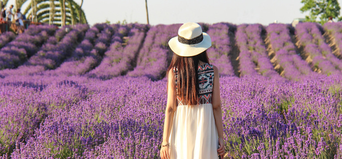 1769746673132954.jpg 614-4.jpg