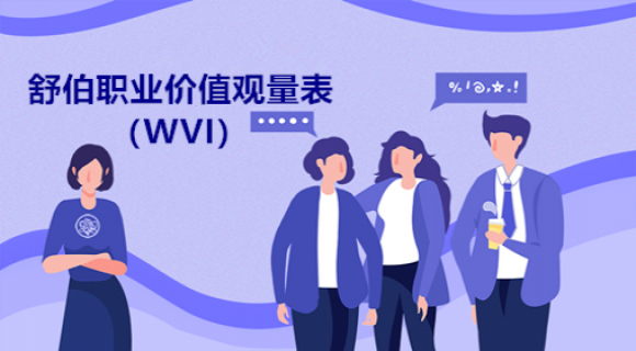 舒伯职业价值观量表(WVI) 舒伯职业价值观量表(WVI)